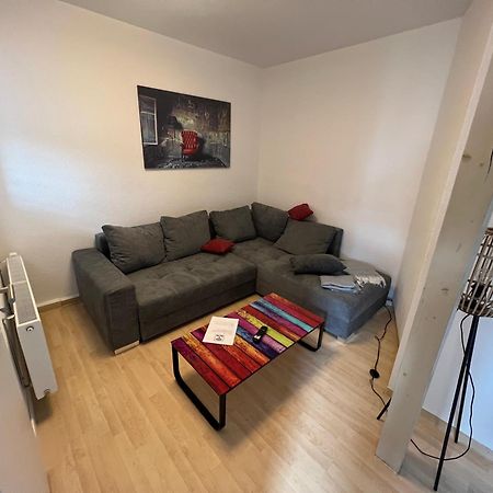Apartment Napoleon, Naehe Zentrum, 2 Schlafzimmer, Grosser Balkon, Free Wifi ,Parken Jena Exterior photo